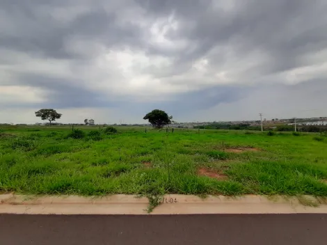 Terreno / Padr&atilde;o em S&atilde;o Jos&eacute; do Rio Preto 