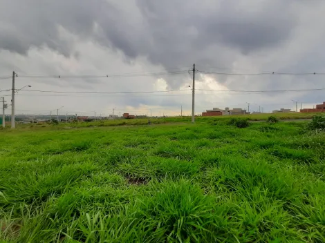Comprar Terreno / Padr&atilde;o em S&atilde;o Jos&eacute; do Rio Preto R$ 115.000,00 - Foto 2