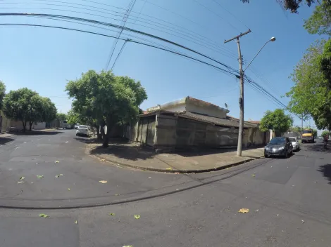 Comercial / Casa Comercial em S&atilde;o Jos&eacute; do Rio Preto 