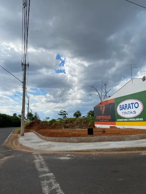 Terreno / Padr&atilde;o em S&atilde;o Jos&eacute; do Rio Preto 