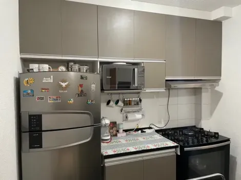 Apartamento / Padr&atilde;o em S&atilde;o Jos&eacute; do Rio Preto 