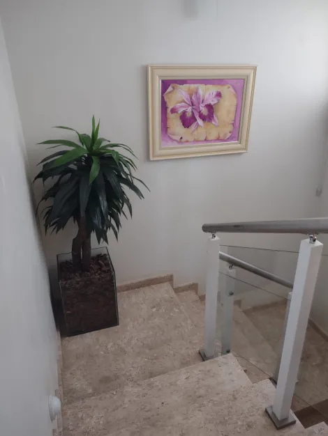 Comprar Casa / Condom&iacute;nio em S&atilde;o Jos&eacute; do Rio Preto R$ 1.800.000,00 - Foto 42