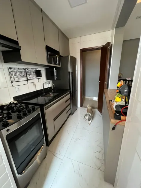 Apartamento / Padr&atilde;o em S&atilde;o Jos&eacute; do Rio Preto 