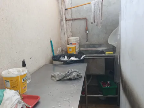 Comprar Comercial / Casa Comercial em S&atilde;o Jos&eacute; do Rio Preto R$ 1.300.000,00 - Foto 8