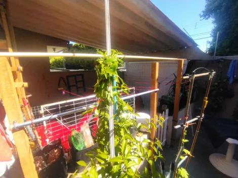 Comprar Casa / Sobrado em S&atilde;o Jos&eacute; do Rio Preto R$ 300.000,00 - Foto 13
