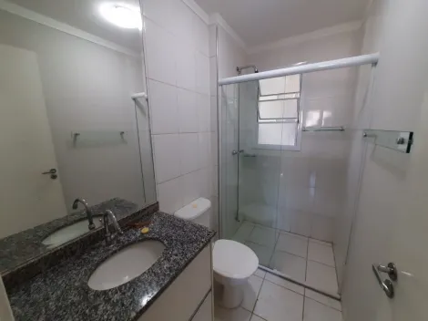 Alugar Apartamento / Cobertura em S&atilde;o Jos&eacute; do Rio Preto R$ 3.800,00 - Foto 7