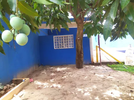 Comprar Rural / Ch&aacute;cara em S&atilde;o Jos&eacute; do Rio Preto R$ 550.000,00 - Foto 30