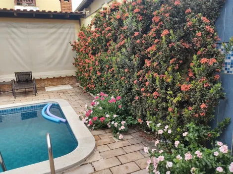 Comprar Casa / Padr&atilde;o em S&atilde;o Jos&eacute; do Rio Preto R$ 1.300.000,00 - Foto 11