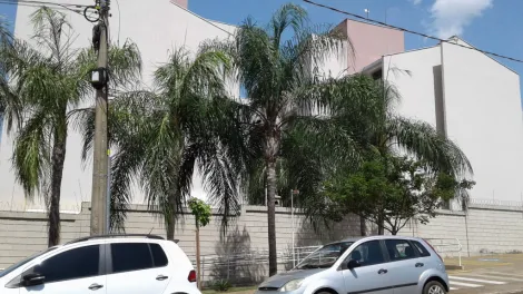 Apartamento / Padr&atilde;o em S&atilde;o Jos&eacute; do Rio Preto 
