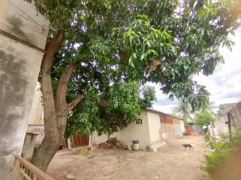 Comprar Terreno / Padr&atilde;o em S&atilde;o Jos&eacute; do Rio Preto R$ 700.000,00 - Foto 12