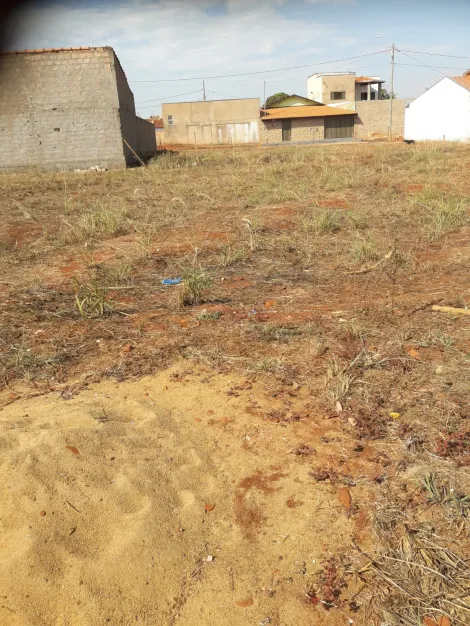 Terreno / Padr&atilde;o em Planura 