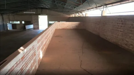 Comprar Comercial / Sal&atilde;o em S&atilde;o Jos&eacute; do Rio Preto R$ 2.320.000,00 - Foto 4