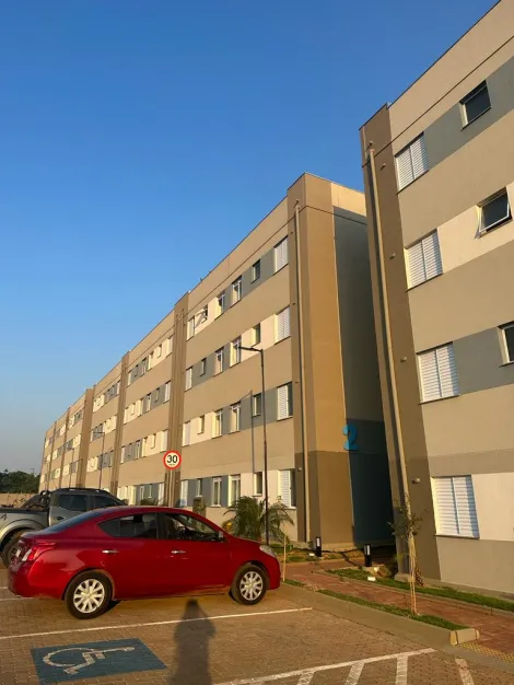 Alugar Apartamento / Padr&atilde;o em S&atilde;o Jos&eacute; do Rio Preto. apenas R$ 1.000,00