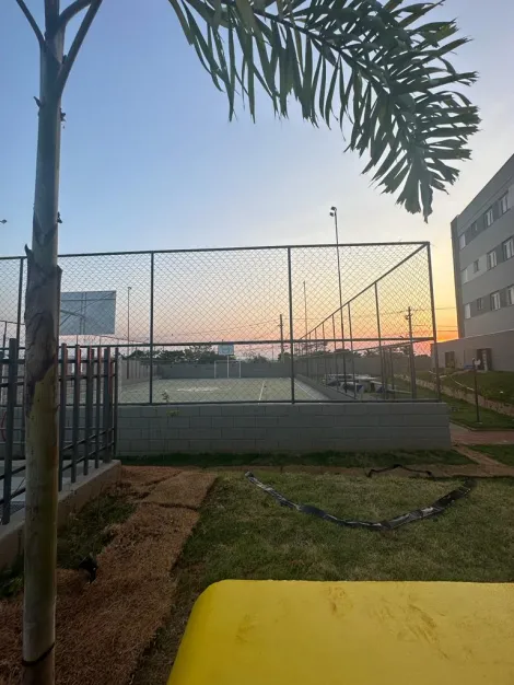 Alugar Apartamento / Padr&atilde;o em S&atilde;o Jos&eacute; do Rio Preto R$ 1.000,00 - Foto 18