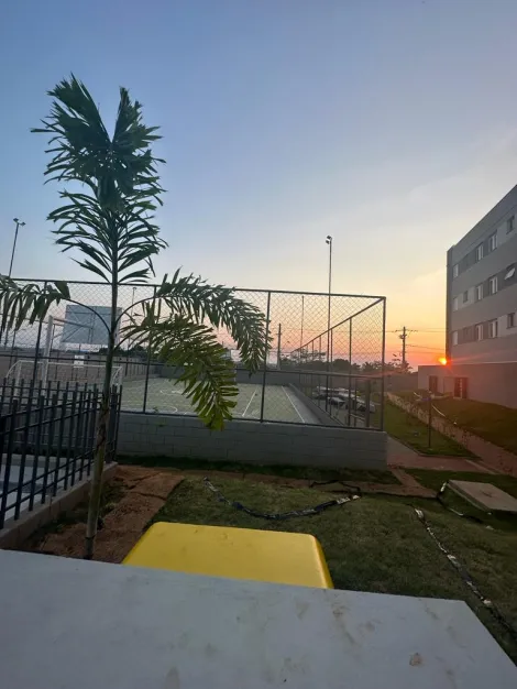 Alugar Apartamento / Padr&atilde;o em S&atilde;o Jos&eacute; do Rio Preto R$ 1.000,00 - Foto 19