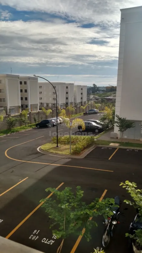 Alugar Apartamento / Padr&atilde;o em S&atilde;o Jos&eacute; do Rio Preto R$ 1.300,00 - Foto 20