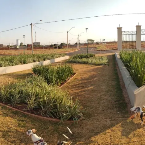 Comprar Terreno / Padr&atilde;o em S&atilde;o Jos&eacute; do Rio Preto R$ 110.000,00 - Foto 3