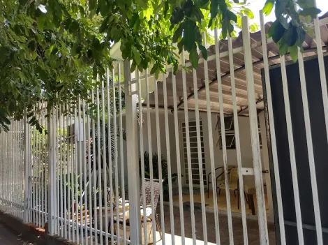 Comprar Comercial / Sal&atilde;o em S&atilde;o Jos&eacute; do Rio Preto R$ 1.200.000,00 - Foto 6