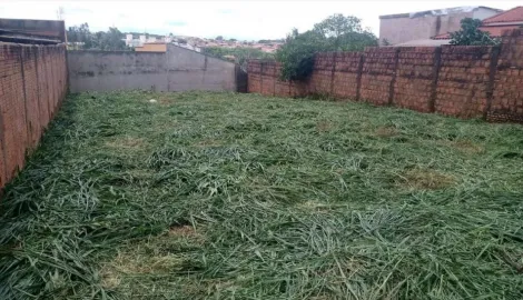 Comprar Terreno / Padr&atilde;o em S&atilde;o Jos&eacute; do Rio Preto R$ 190.000,00 - Foto 2