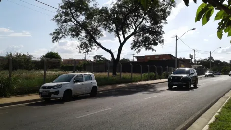 Comprar Comercial / Sal&atilde;o em S&atilde;o Jos&eacute; do Rio Preto R$ 7.800.000,00 - Foto 5