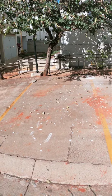 Alugar Apartamento / Padr&atilde;o em S&atilde;o Jos&eacute; do Rio Preto R$ 700,00 - Foto 10