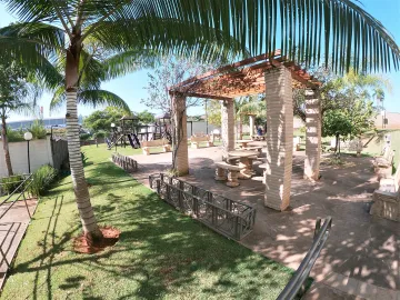 Alugar Apartamento / Padr&atilde;o em S&atilde;o Jos&eacute; do Rio Preto R$ 700,00 - Foto 11