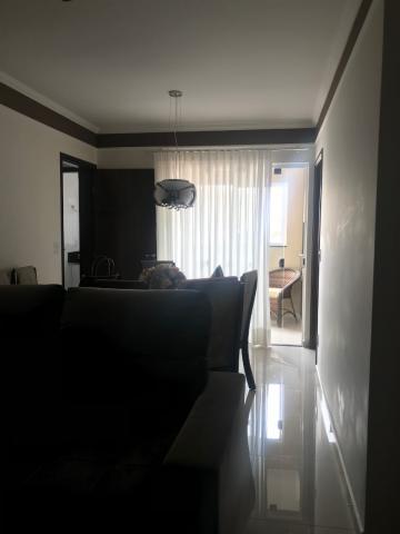 Alugar Apartamento / Padr&atilde;o em S&atilde;o Jos&eacute; do Rio Preto R$ 1.650,00 - Foto 7