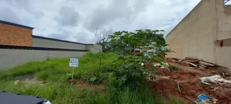 Alugar Terreno / Padr&atilde;o em Bady Bassitt. apenas R$ 220.000,00