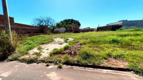 Alugar Terreno / Padr&atilde;o em Bady Bassitt. apenas R$ 220.000,00