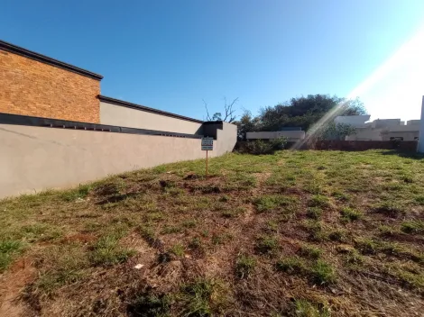 Comprar Terreno / Padr&atilde;o em Bady Bassitt R$ 220.000,00 - Foto 3