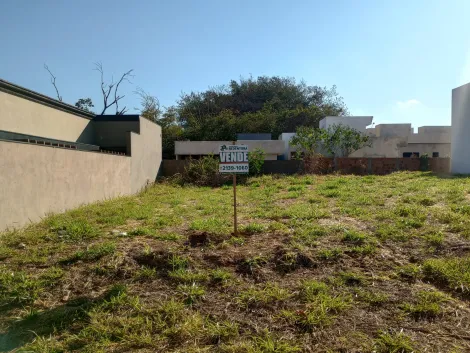 Comprar Terreno / Padr&atilde;o em Bady Bassitt R$ 220.000,00 - Foto 4