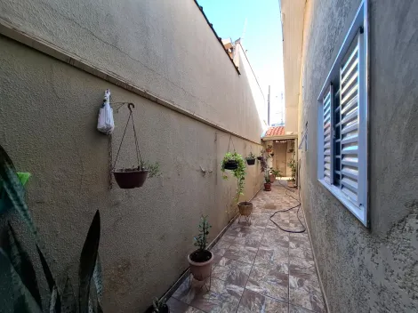 Alugar Casa / Padr&atilde;o em S&atilde;o Jos&eacute; do Rio Preto R$ 1.400,00 - Foto 12