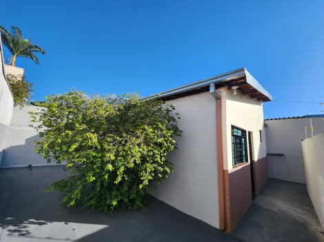 Alugar Casa / Padr&atilde;o em S&atilde;o Jos&eacute; do Rio Preto. apenas R$ 900,00