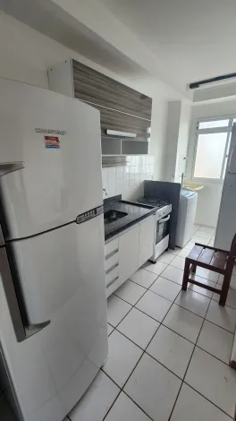 Alugar Apartamento / Padr&atilde;o em S&atilde;o Jos&eacute; do Rio Preto R$ 1.100,00 - Foto 3