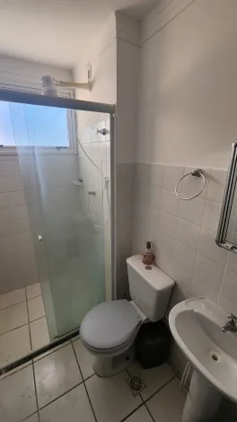 Alugar Apartamento / Padr&atilde;o em S&atilde;o Jos&eacute; do Rio Preto R$ 1.100,00 - Foto 7