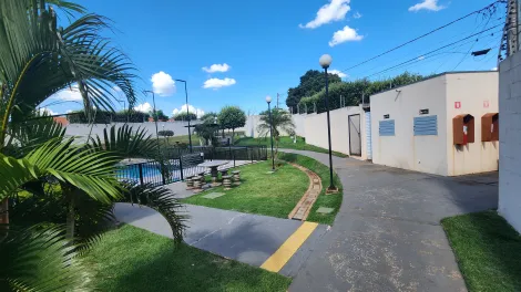 Alugar Apartamento / Padr&atilde;o em S&atilde;o Jos&eacute; do Rio Preto R$ 1.100,00 - Foto 11
