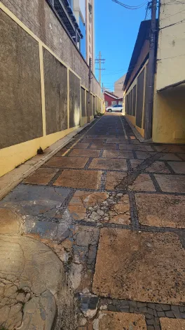 Alugar Comercial / Casa Comercial em S&atilde;o Jos&eacute; do Rio Preto R$ 750,00 - Foto 13