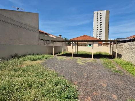Alugar Casa / Padr&atilde;o em S&atilde;o Jos&eacute; do Rio Preto R$ 800,00 - Foto 2