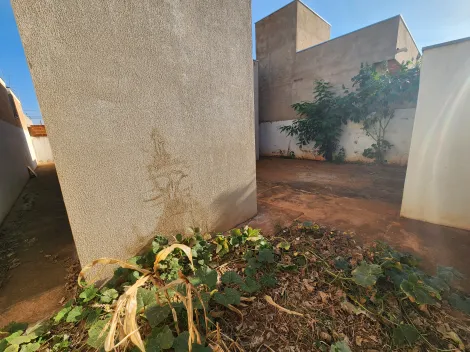 Alugar Casa / Padr&atilde;o em S&atilde;o Jos&eacute; do Rio Preto R$ 980,00 - Foto 3