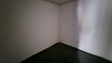 Alugar Casa / Padr&atilde;o em S&atilde;o Jos&eacute; do Rio Preto R$ 550,00 - Foto 5