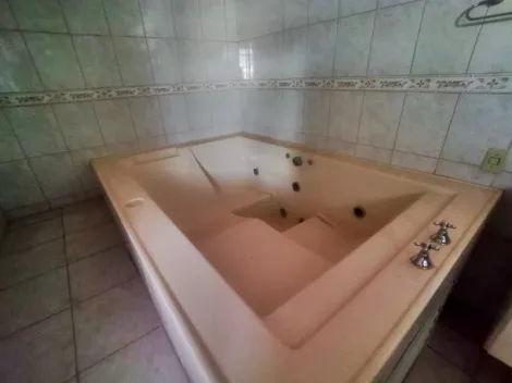 Alugar Casa / Sobrado em S&atilde;o Jos&eacute; do Rio Preto R$ 3.000,00 - Foto 15