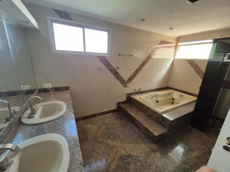 Alugar Apartamento / Cobertura em S&atilde;o Jos&eacute; do Rio Preto R$ 6.800,00 - Foto 11