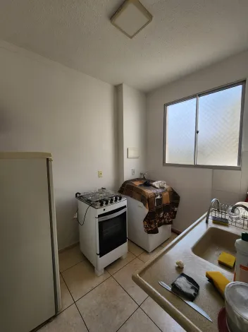 Alugar Apartamento / Padr&atilde;o em S&atilde;o Jos&eacute; do Rio Preto R$ 850,00 - Foto 3