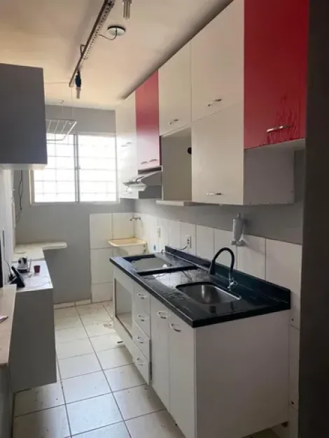 Alugar Apartamento / Padr&atilde;o em S&atilde;o Jos&eacute; do Rio Preto R$ 850,00 - Foto 11