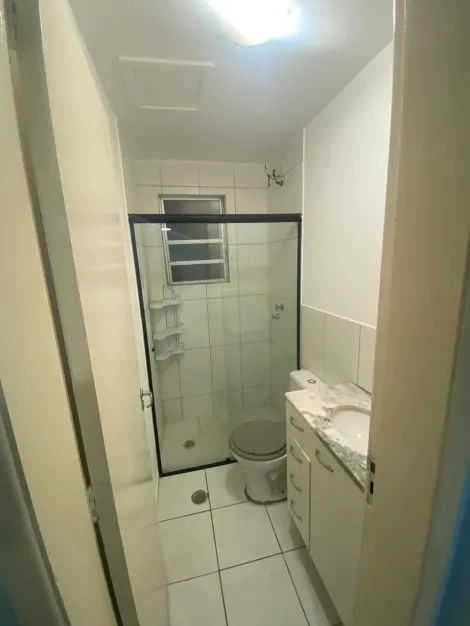 Alugar Apartamento / Padr&atilde;o em S&atilde;o Jos&eacute; do Rio Preto R$ 850,00 - Foto 13