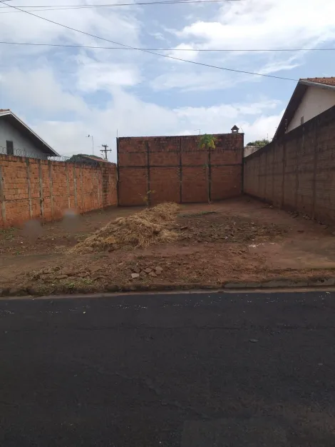 Terreno / Padr&atilde;o em S&atilde;o Jos&eacute; do Rio Preto 