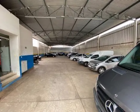 Comercial / Sal&atilde;o em S&atilde;o Jos&eacute; do Rio Preto 