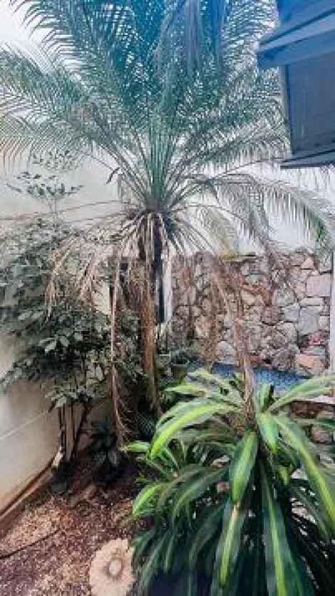 Alugar Casa / Condom&iacute;nio em Guapia&ccedil;u R$ 12.500,00 - Foto 19