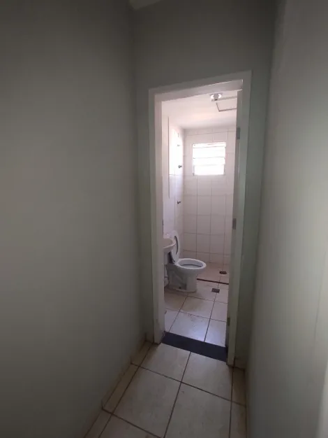 Alugar Apartamento / Padr&atilde;o em S&atilde;o Jos&eacute; do Rio Preto R$ 900,00 - Foto 7