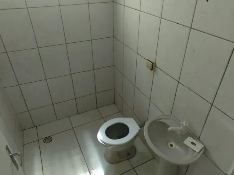 Alugar Casa / Padr&atilde;o em S&atilde;o Jos&eacute; do Rio Preto R$ 800,00 - Foto 12
